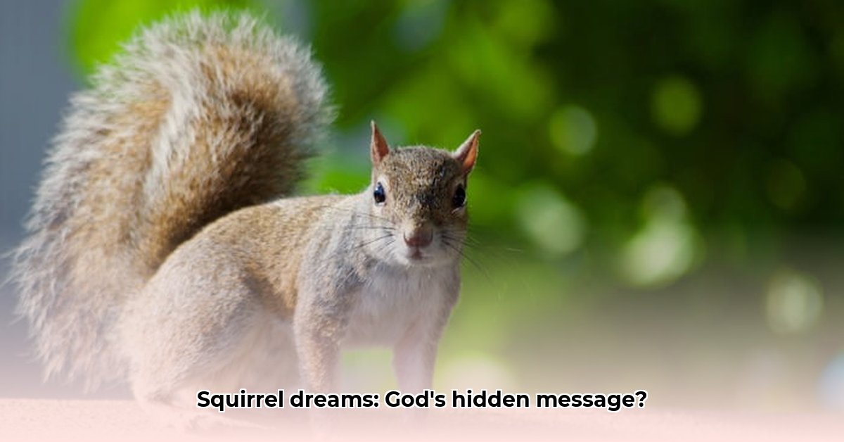 biblical-meaning-of-a-squirrel-in-a-dream